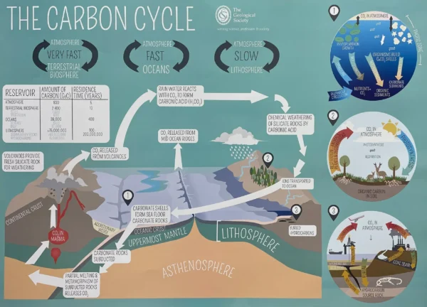 Pack 1: The Carbon Cycle - Image 2