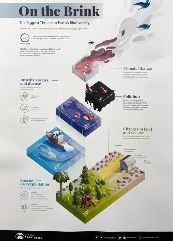 Pack 2: Geography Content