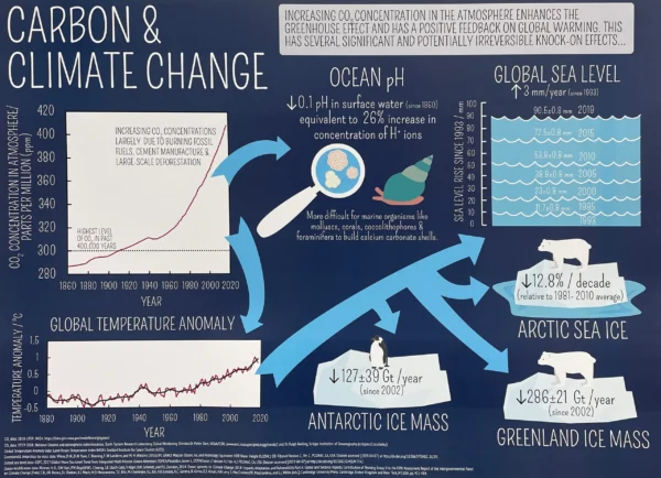 Pack 1: The Carbon Cycle - Image 3