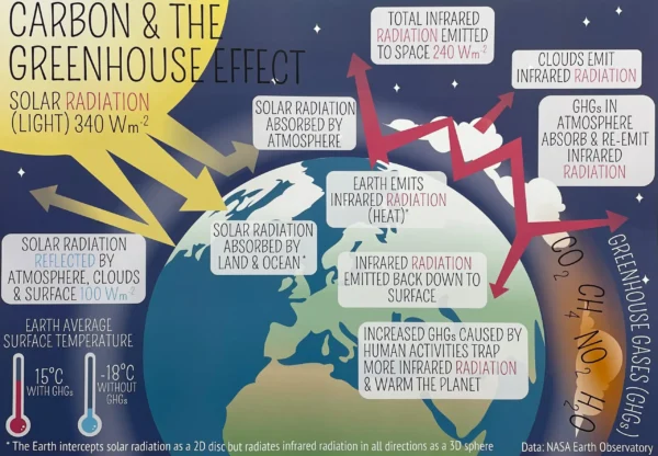 Pack 1: The Carbon Cycle - Image 4